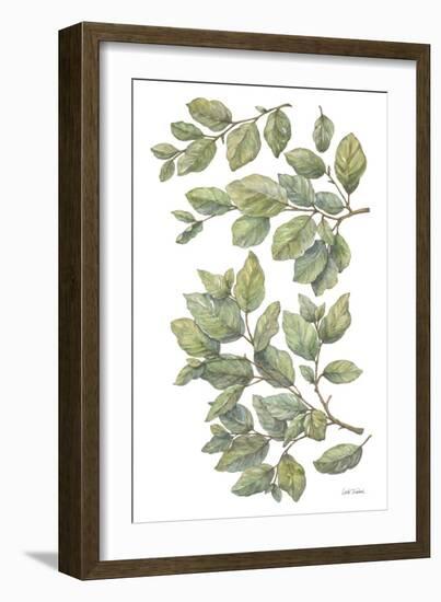 Bird on Branch III-Leslie Trimbach-Framed Art Print