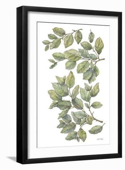 Bird on Branch III-Leslie Trimbach-Framed Art Print