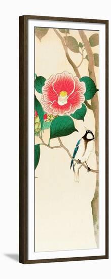 Bird on Camellia-Koson Ohara-Framed Giclee Print