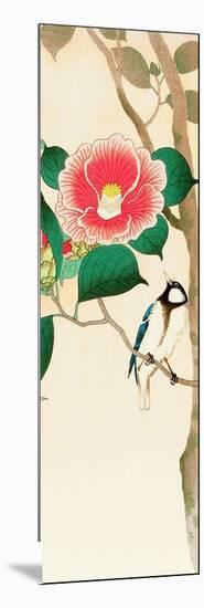 Bird on Camellia-Koson Ohara-Mounted Giclee Print