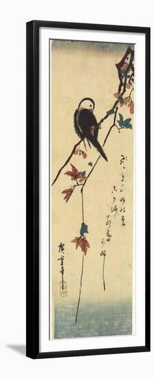 Bird on Maple Branch, 1830-1858-Utagawa Hiroshige-Framed Premium Giclee Print