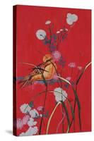 Bird on Red-Judy Mastrangelo-Stretched Canvas
