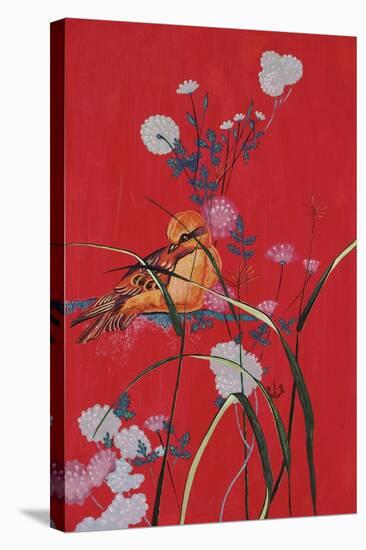 Bird on Red-Judy Mastrangelo-Stretched Canvas