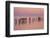 Bird on the Pier-Michael Blanchette Photography-Framed Photographic Print