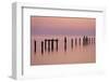 Bird on the Pier-Michael Blanchette Photography-Framed Photographic Print