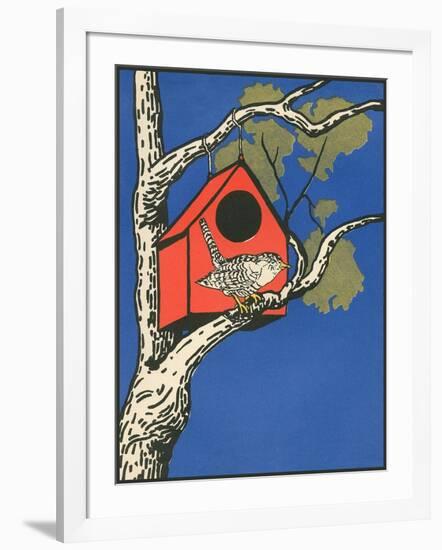 Bird Outside Birdhouse-null-Framed Art Print