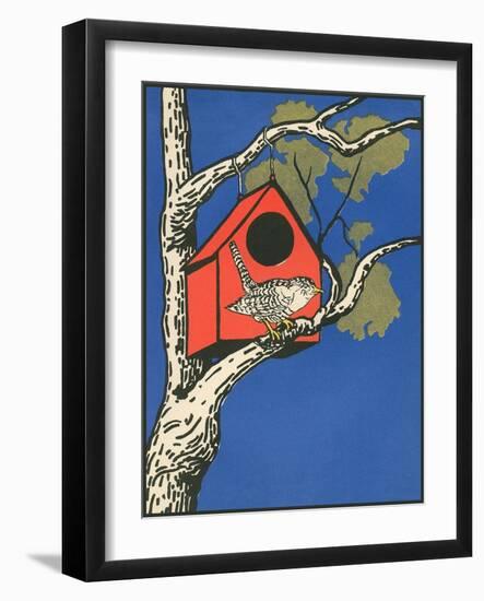 Bird Outside Birdhouse-null-Framed Art Print