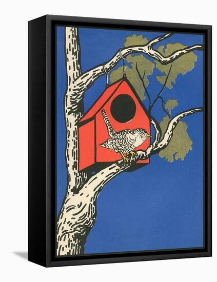 Bird Outside Birdhouse-null-Framed Stretched Canvas