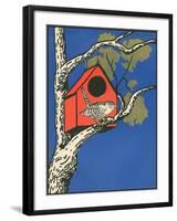 Bird Outside Birdhouse-null-Framed Art Print