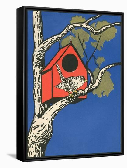 Bird Outside Birdhouse-null-Framed Stretched Canvas