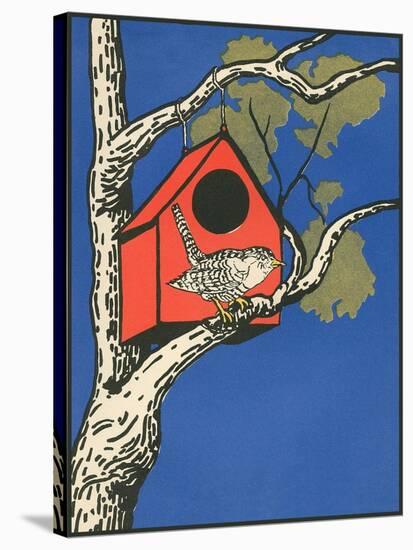 Bird Outside Birdhouse-null-Stretched Canvas