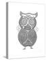 Bird Owl 1-Neeti Goswami-Stretched Canvas