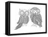 Bird Owls-Neeti Goswami-Framed Stretched Canvas