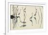 Bird Paddle-Staffan Widstrand-Framed Giclee Print
