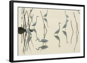 Bird Paddle-Staffan Widstrand-Framed Giclee Print