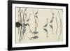 Bird Paddle-Staffan Widstrand-Framed Giclee Print