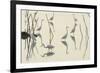 Bird Paddle-Staffan Widstrand-Framed Giclee Print