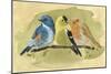 Bird Perch I-Annie Warren-Mounted Art Print