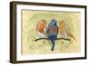 Bird Perch II-Annie Warren-Framed Art Print
