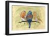 Bird Perch II-Annie Warren-Framed Art Print