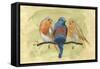 Bird Perch II-Annie Warren-Framed Stretched Canvas