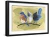 Bird Perch III-Annie Warren-Framed Art Print