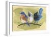 Bird Perch III-Annie Warren-Framed Art Print