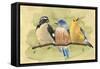 Bird Perch IV-Annie Warren-Framed Stretched Canvas