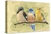 Bird Perch IV-Annie Warren-Stretched Canvas