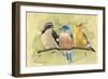 Bird Perch IV-Annie Warren-Framed Art Print