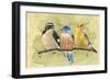 Bird Perch IV-Annie Warren-Framed Art Print