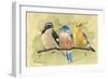 Bird Perch IV-Annie Warren-Framed Art Print