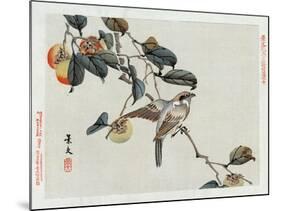 Bird Perched on a Branch from a Fruit Tree, Japanese Wood-Cut Print-Lantern Press-Mounted Art Print