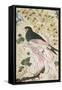 Bird Perching on Rock, 1684-Muin Musavvir-Framed Stretched Canvas