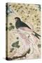 Bird Perching on Rock, 1684-Muin Musavvir-Stretched Canvas