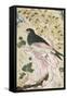 Bird Perching on Rock, 1684-Muin Musavvir-Framed Stretched Canvas