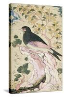 Bird Perching on Rock, 1684-Muin Musavvir-Stretched Canvas