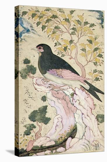 Bird Perching on Rock, 1684-Muin Musavvir-Stretched Canvas