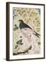 Bird Perching on Rock, 1684-Muin Musavvir-Framed Giclee Print