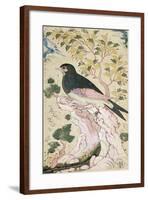 Bird Perching on Rock, 1684-Muin Musavvir-Framed Giclee Print