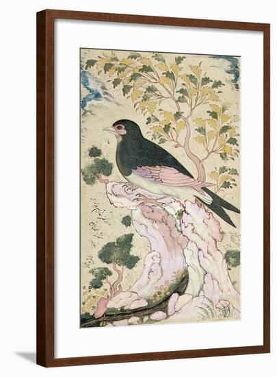 Bird Perching on Rock, 1684-Muin Musavvir-Framed Giclee Print
