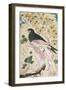 Bird Perching on Rock, 1684-Muin Musavvir-Framed Giclee Print