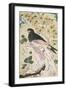 Bird Perching on Rock, 1684-Muin Musavvir-Framed Giclee Print