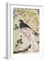 Bird Perching on Rock, 1684-Muin Musavvir-Framed Giclee Print