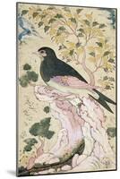 Bird Perching on Rock, 1684-Muin Musavvir-Mounted Giclee Print