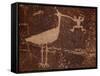 Bird Petroglyph, Petrified Forest National Park, Arizona, United States of America, North America-James Hager-Framed Stretched Canvas