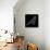 Bird Polygon Black-NaxArt-Stretched Canvas displayed on a wall