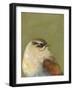 Bird Portrait I-Mehmet Altug-Framed Art Print