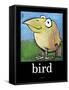 Bird Poster-Tim Nyberg-Framed Stretched Canvas