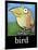 Bird Poster-Tim Nyberg-Mounted Giclee Print